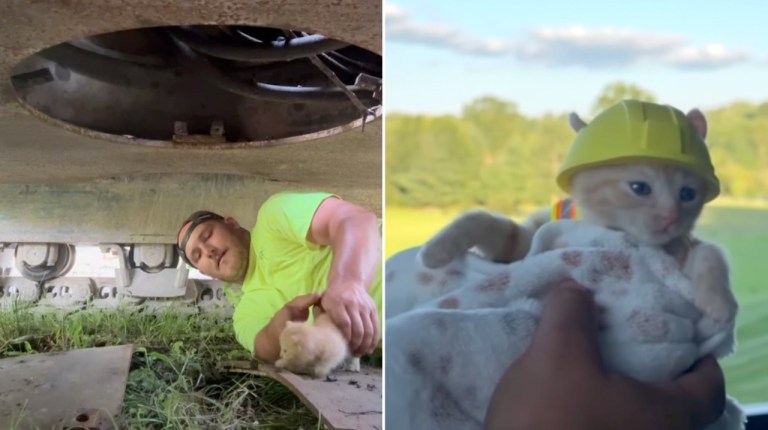 Excavator Cat Rescue