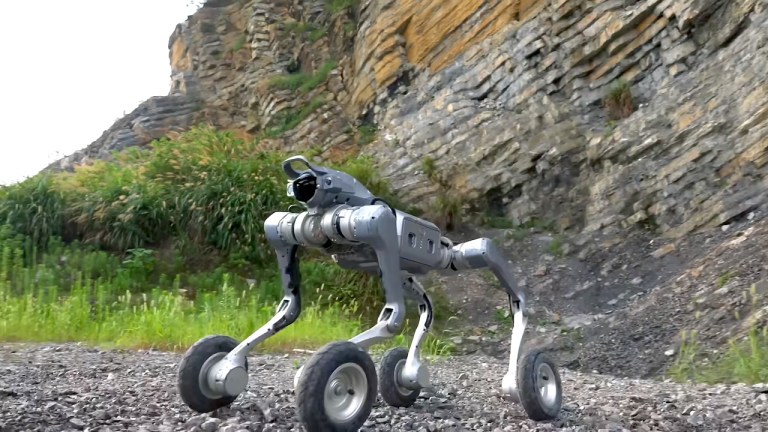 Unitree Quadruped Robot