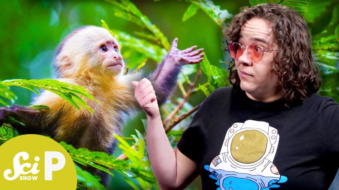 The Weird Ways Animals Use Their Urine