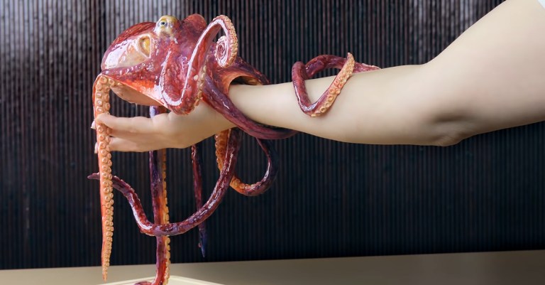 Arm Gripping Hyperrealistic Octopus Cake