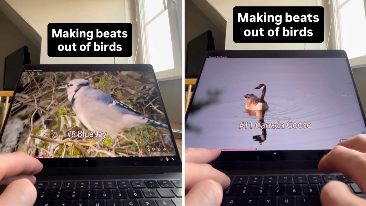 Musician Creates Catchy Hip-Hop Beats by Remixing Bird Calls