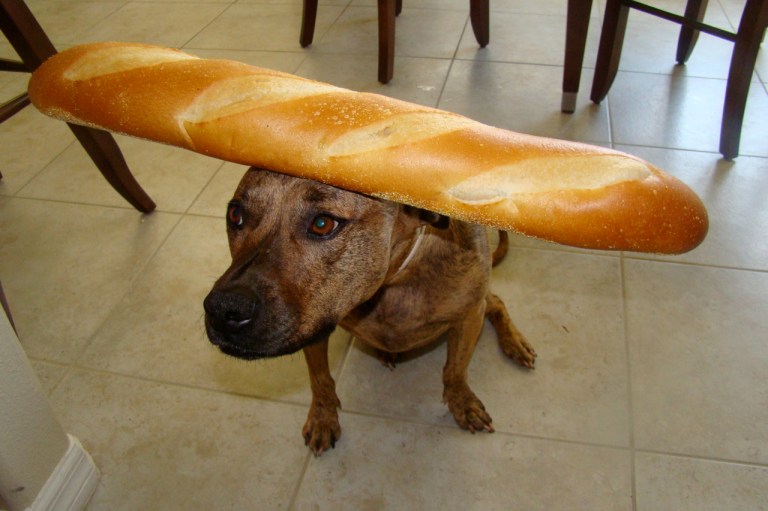 Baguette