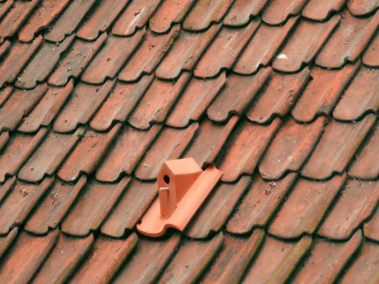 Birdhouse Rooftile by Klaas Kuiken