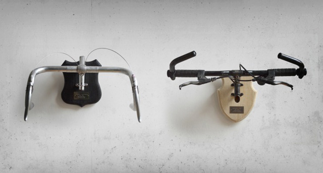 Bicycle Taxidermy