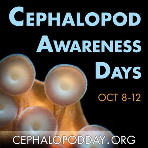 Cephalopod Awareness Days