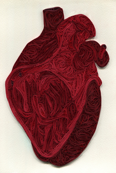 Quilled Anatomy Art by Sarah Yakawonis