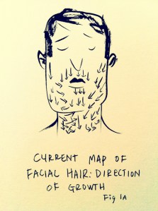 Current Map of Facial Hair: Direction of Growth by Ric Carrasquillo