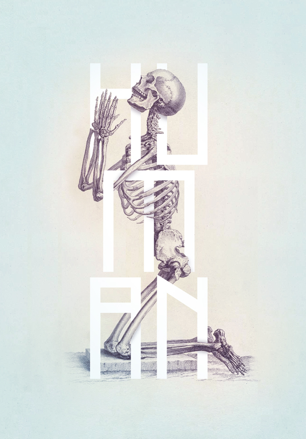 Bone - Anatomy Illustrated by Josip Kelava