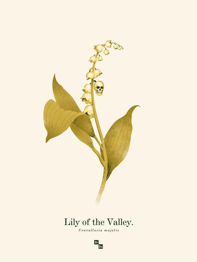 Lily of the Valley by Phantom City Creative