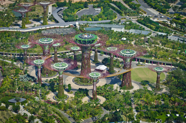 Supertrees aerial