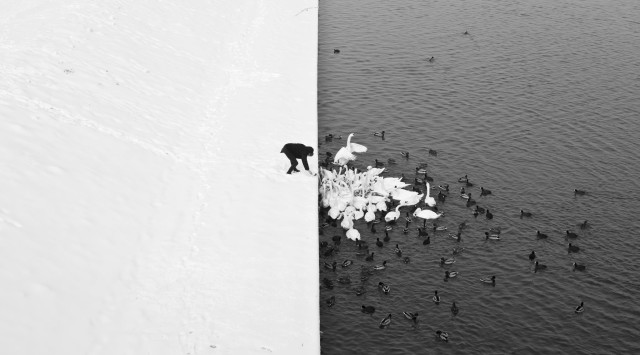 Black and white photo of man feeding birds