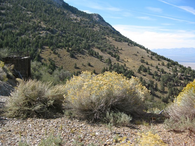 View from Long Now's property on Mount Washington in Nevada