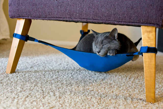 Cat Crib