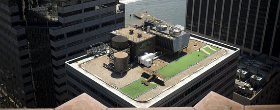 WWI Biplane on New York City Rooftop
