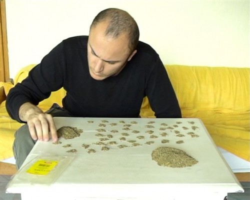 Counting 100g of Cumin by Ovidiu Anton