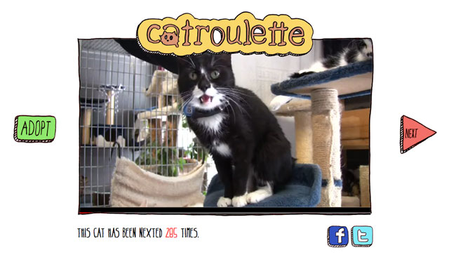 Catroulette