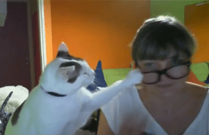 Cat Removing Glasses