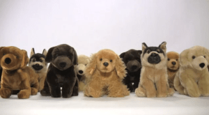 Stuffed Dogs