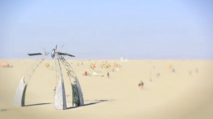 A Burning Man for Ants