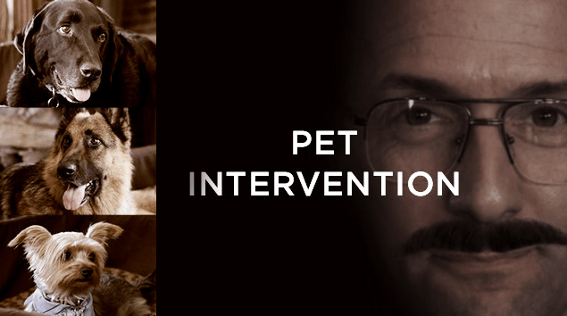 Pet Intervention