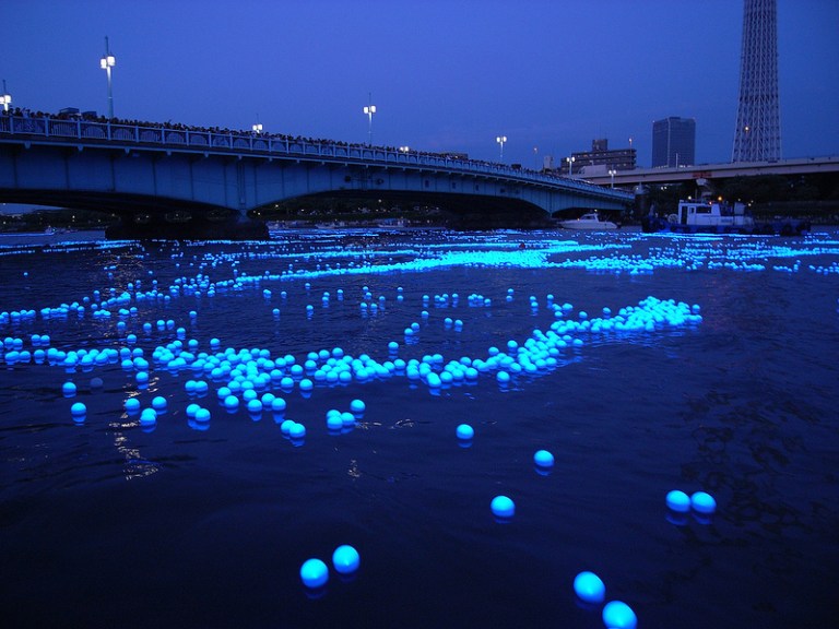 Tokyo Hotaru Festival 100,000 Floating Lights