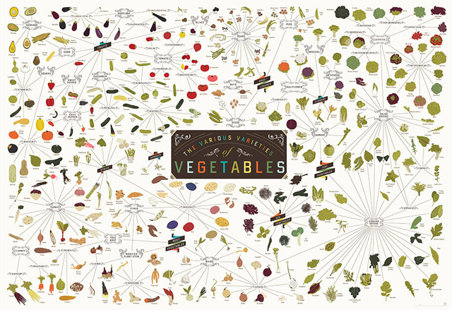 Varieties of Vegetables