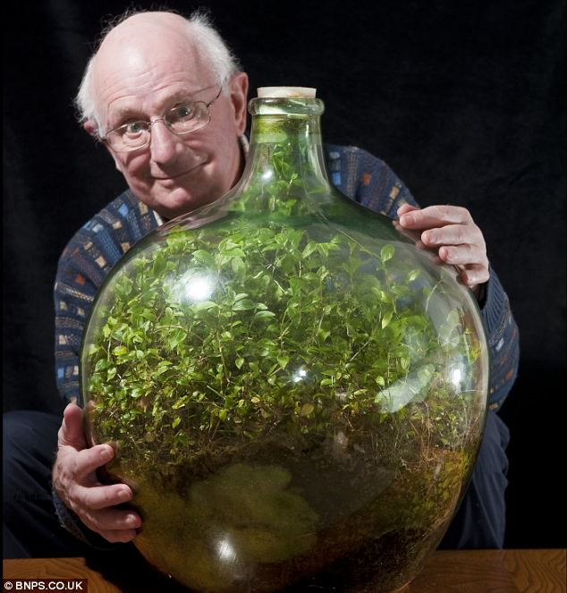 53 Year Old Bottle Garden