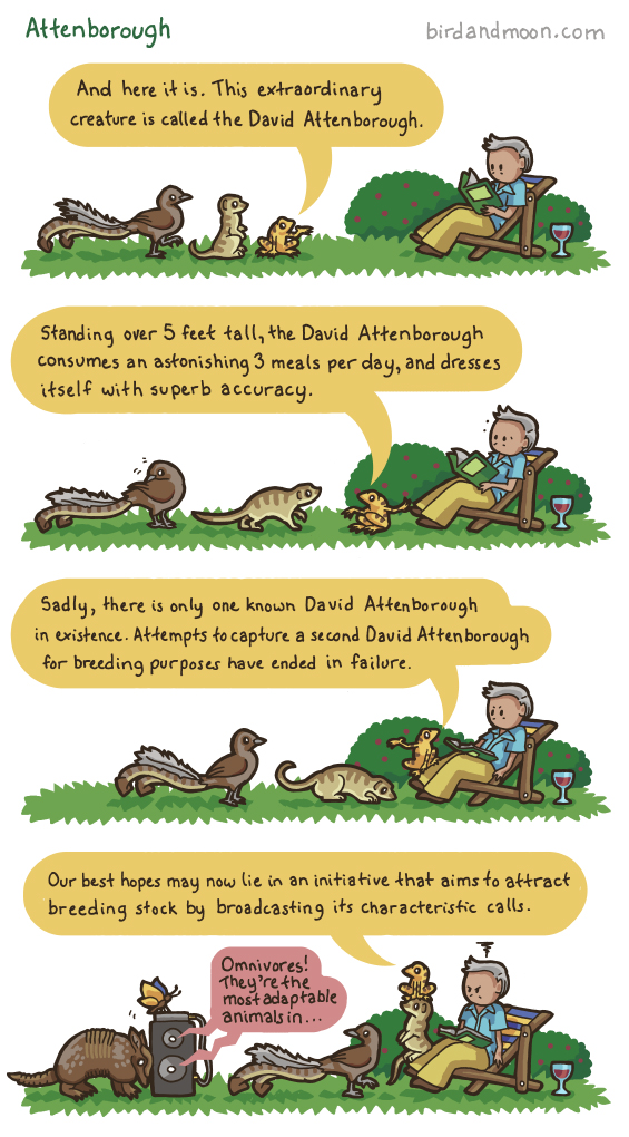 Animals Observing David Attenborough In His Natural Environment