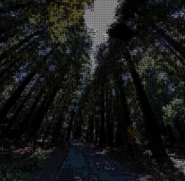ASCII Google Street View