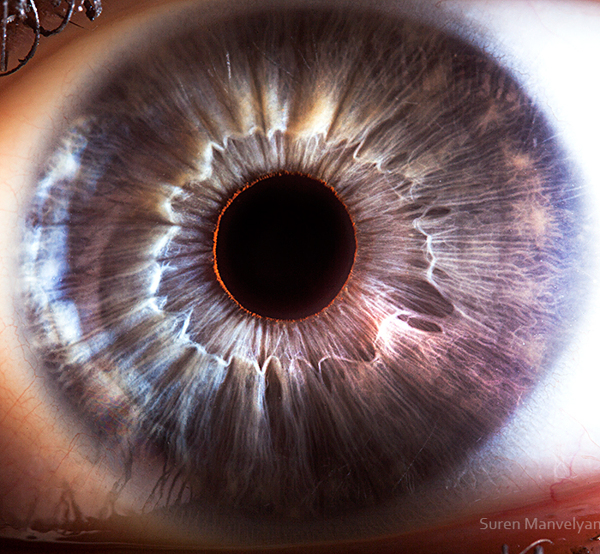 Extreme Close Up Photos Of Human Eyes