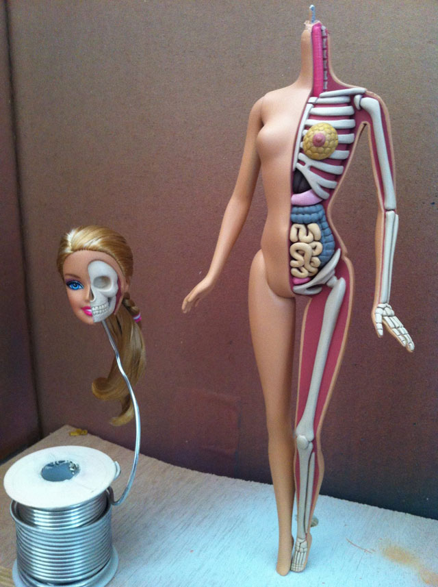 Artist. has made "Barbie Anatomy Model", a sculpture that dissect...