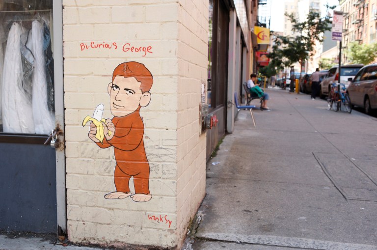 Bi-Curious George