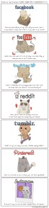 The State of the Internet Featuring Cats