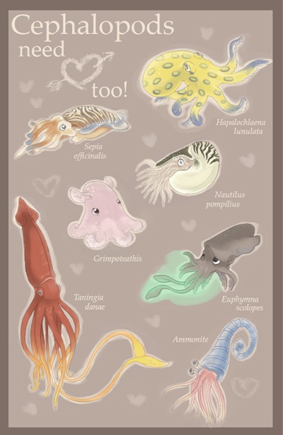 Cephalopods Need Love Too
