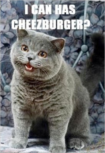 I CAn Has Cheezburger