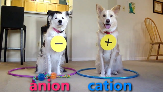 Dogs Teaching Chemistry - Chemical Bonds