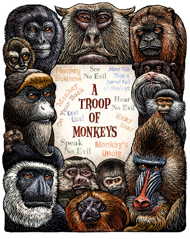 A Troop of Monkeys by Chet Phillips