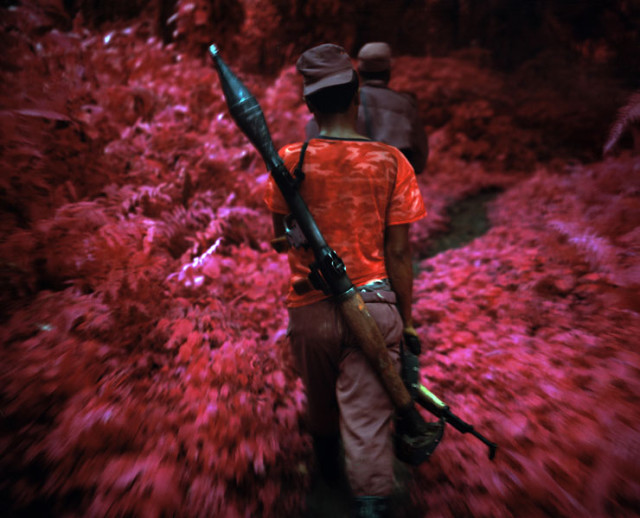 Infra by Richard Mosse