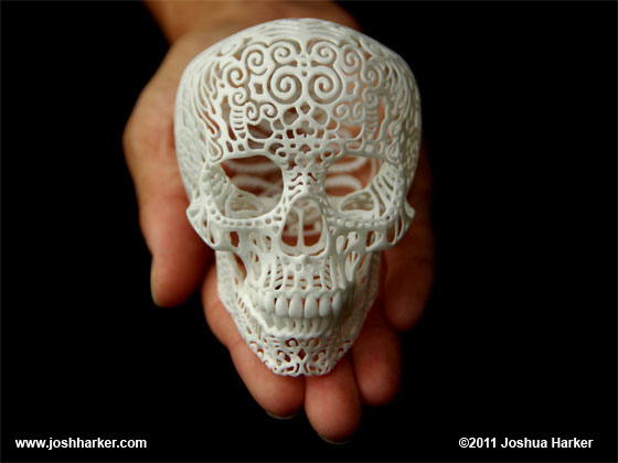 Crania Anatomica Filigre by Joshua Harker