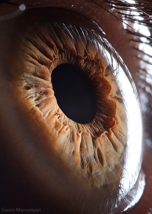 Extreme Close Up Photos Of Human Eyes