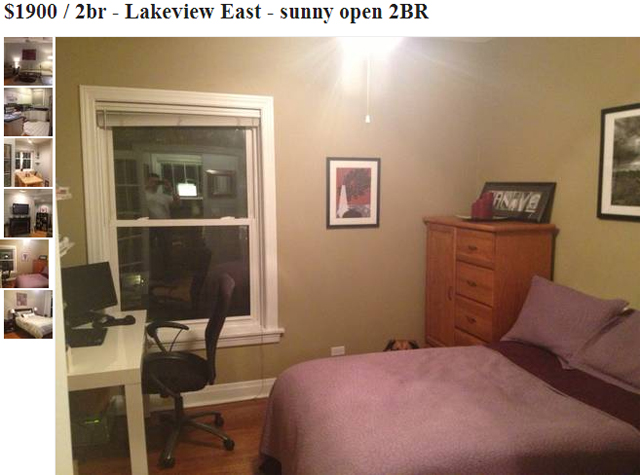 Dog Photobombs Every Picture in Craigslist Apartment Listing