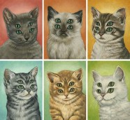 Portraits Of Four Eyed Cats Portraits Of Four Eyed Cats