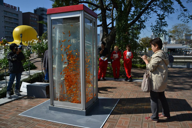 Goldfish Tank Phone Booth