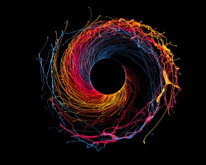 Black Hole by Fabian Oefner