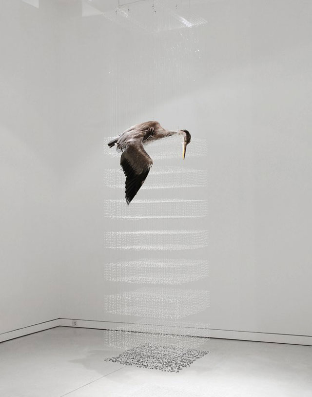 Stunning Taxidermy Installations by Claire Morgan