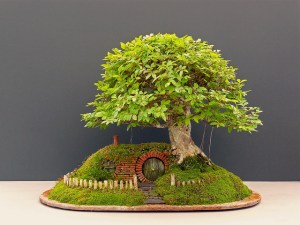 bag end bonsai