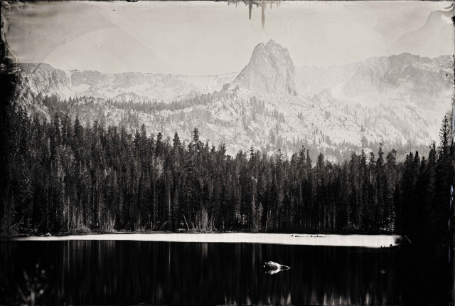 Ian Ruhter/ Wet Plate Collodion 24”x36”/Narcissus /Mammoth Lakes CA /10.15.2011