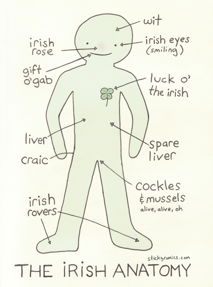 Irish Anatomy