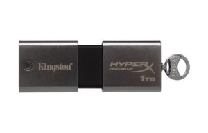 Kingston 1TB USB flash drive