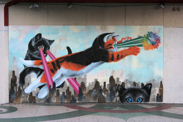 laser-cat-20101119-173837 Kocie murale